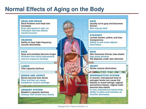 How does the risk of death change as we age .